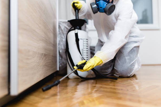 Best Bed Bug Extermination  in Felida, WA