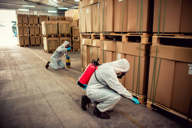 Best Pest Inspection Near Me  in Felida, WA