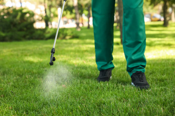 Best Affordable Pest Control Services  in Felida, WA