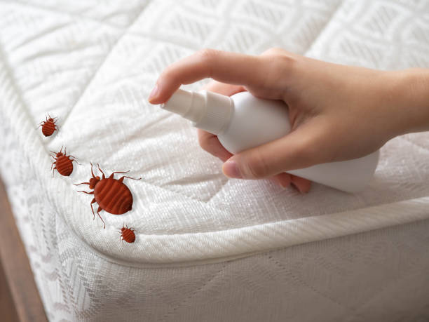 Best Pest Inspection Near Me  in Felida, WA