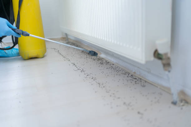 Best Cockroach Control Services  in Felida, WA