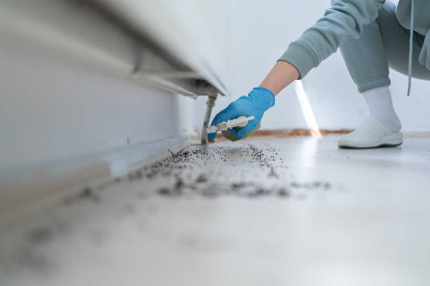 Felida, WA Pest Control Company