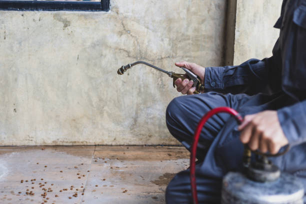 Best Mosquito Control Services  in Felida, WA