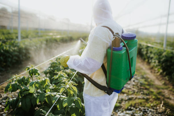Best Emergency Pest Control  in Felida, WA